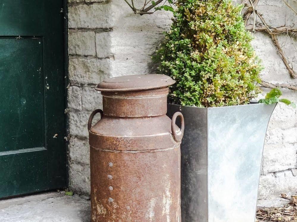Huxham Farmhouse Bed & Breakfast East Pennard Dış mekan fotoğraf